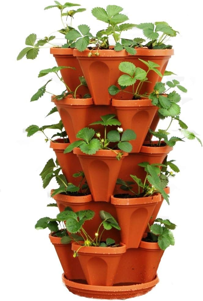 Mr. Stacky 5 Tier Stackable Strawberry Vertical Garden Planter (variant)