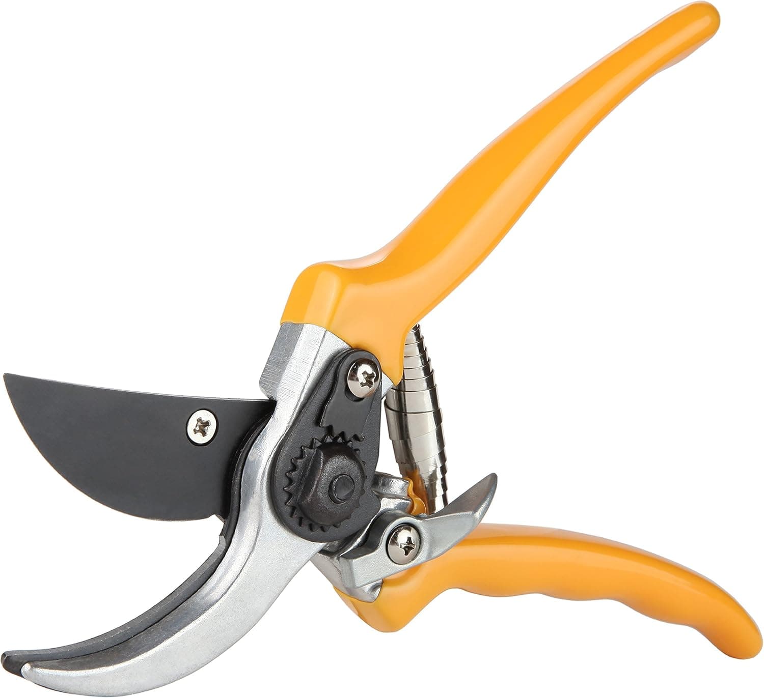 Best Pruning Shears