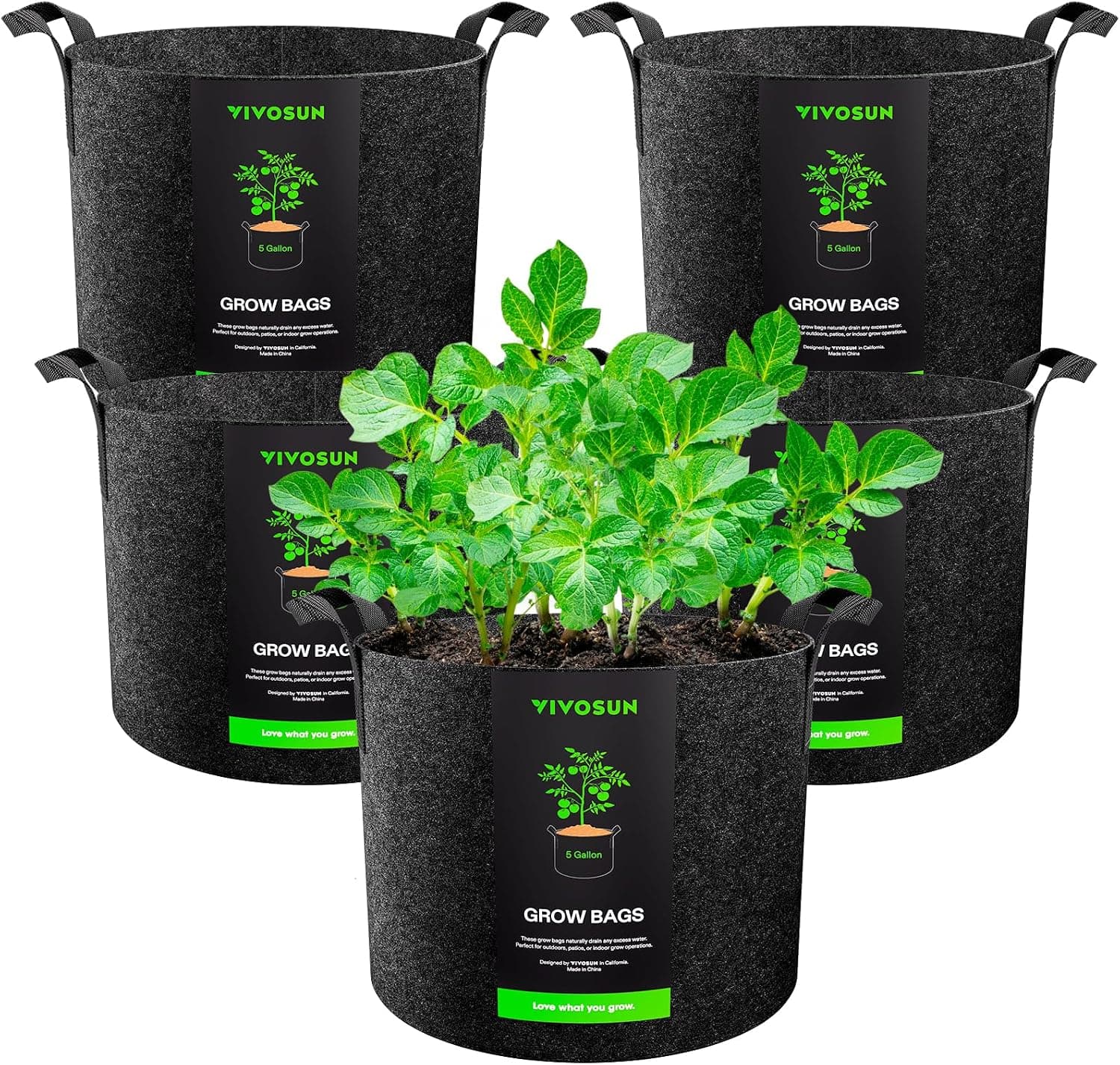 Best Fabric Grow Bags
