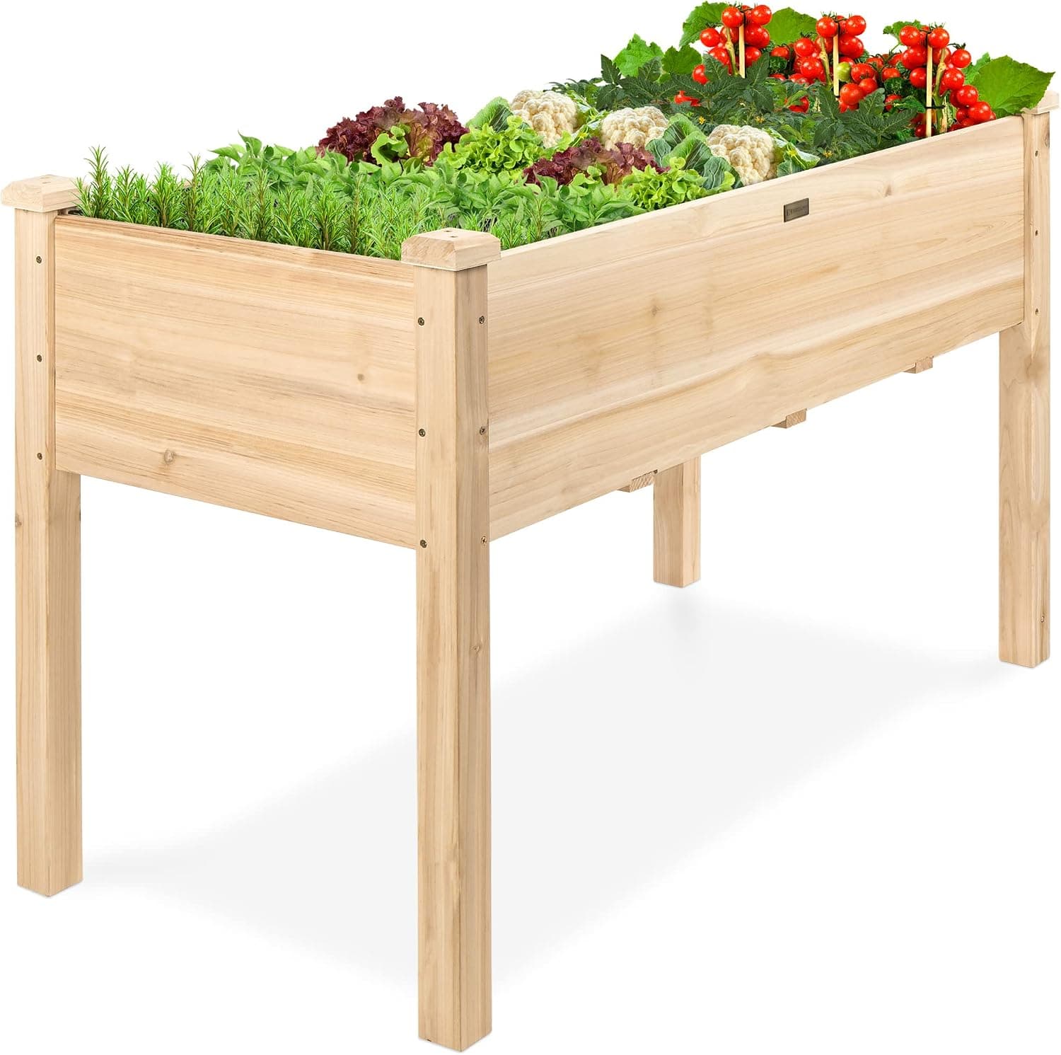 Best Balcony Raised Garden Beds