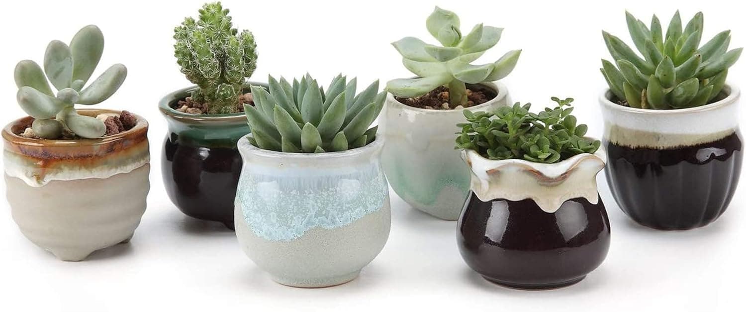 T4U Mini Ceramic Succulent Pots with Drainage, Set of 6, Tiny Pots for Plants