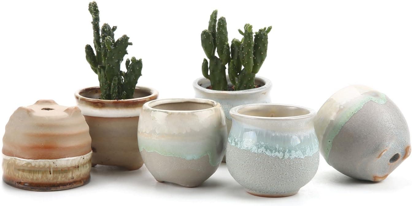 T4U Small Ceramic Succulent Pots with Drainage Set of 6, Mini Tiny Porcelain Planter