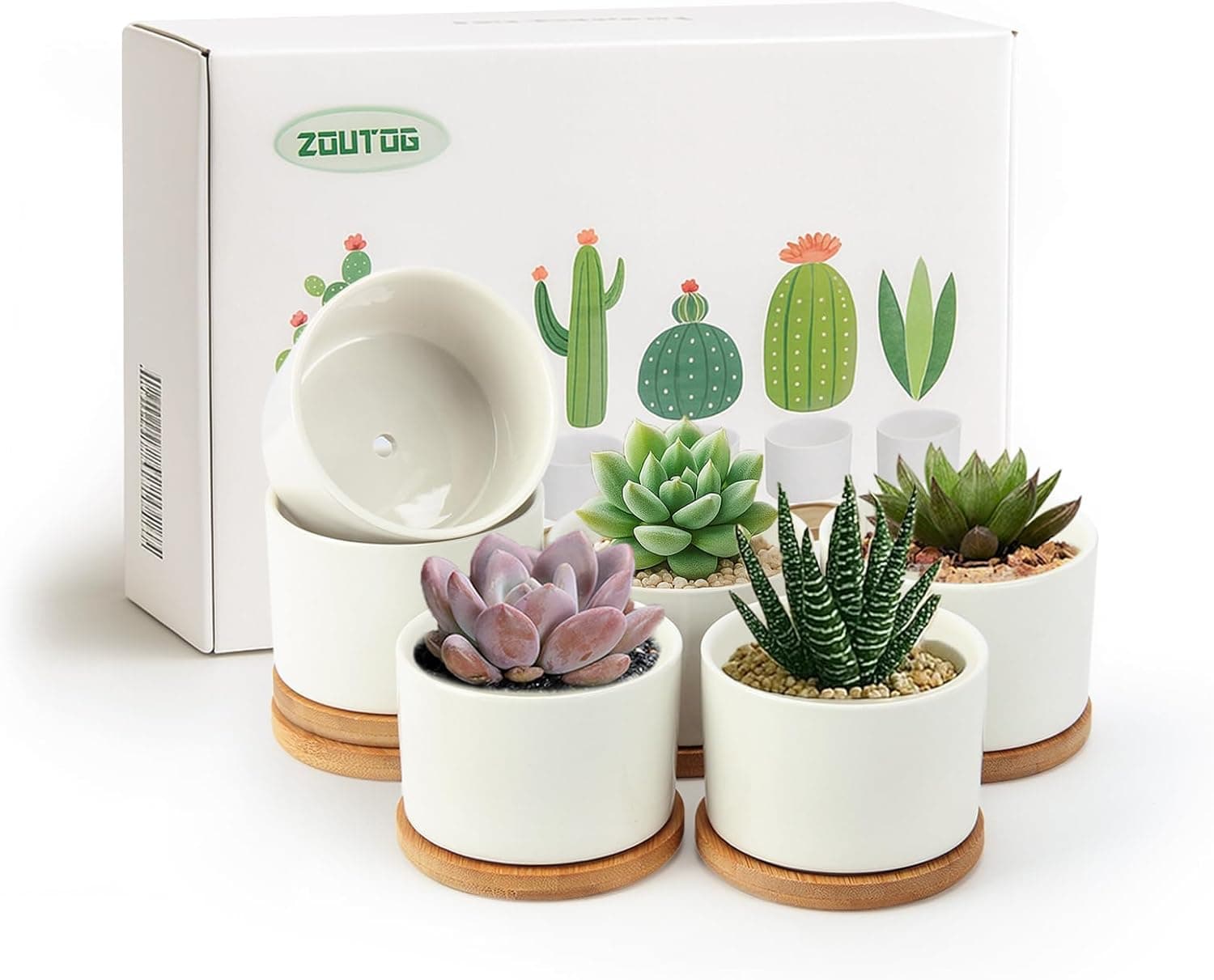 ZOUTOG Succulent Pots 3.1 Inch, 6 Pack Small Pots for Plants with Drainage and Tray, White Ceramic