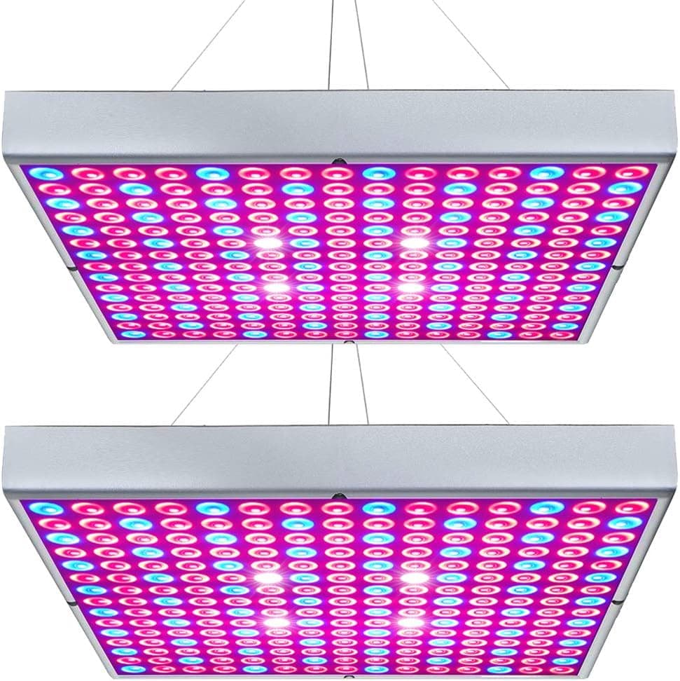 Best Grow Lights for Indoor Plants