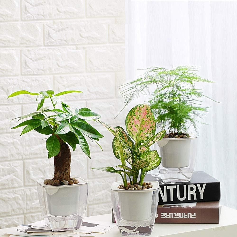 FENGZHITAO Self-Watering Planter, Clear Plastic Automatic-Watering Flower Pot (3 Pack Medium)