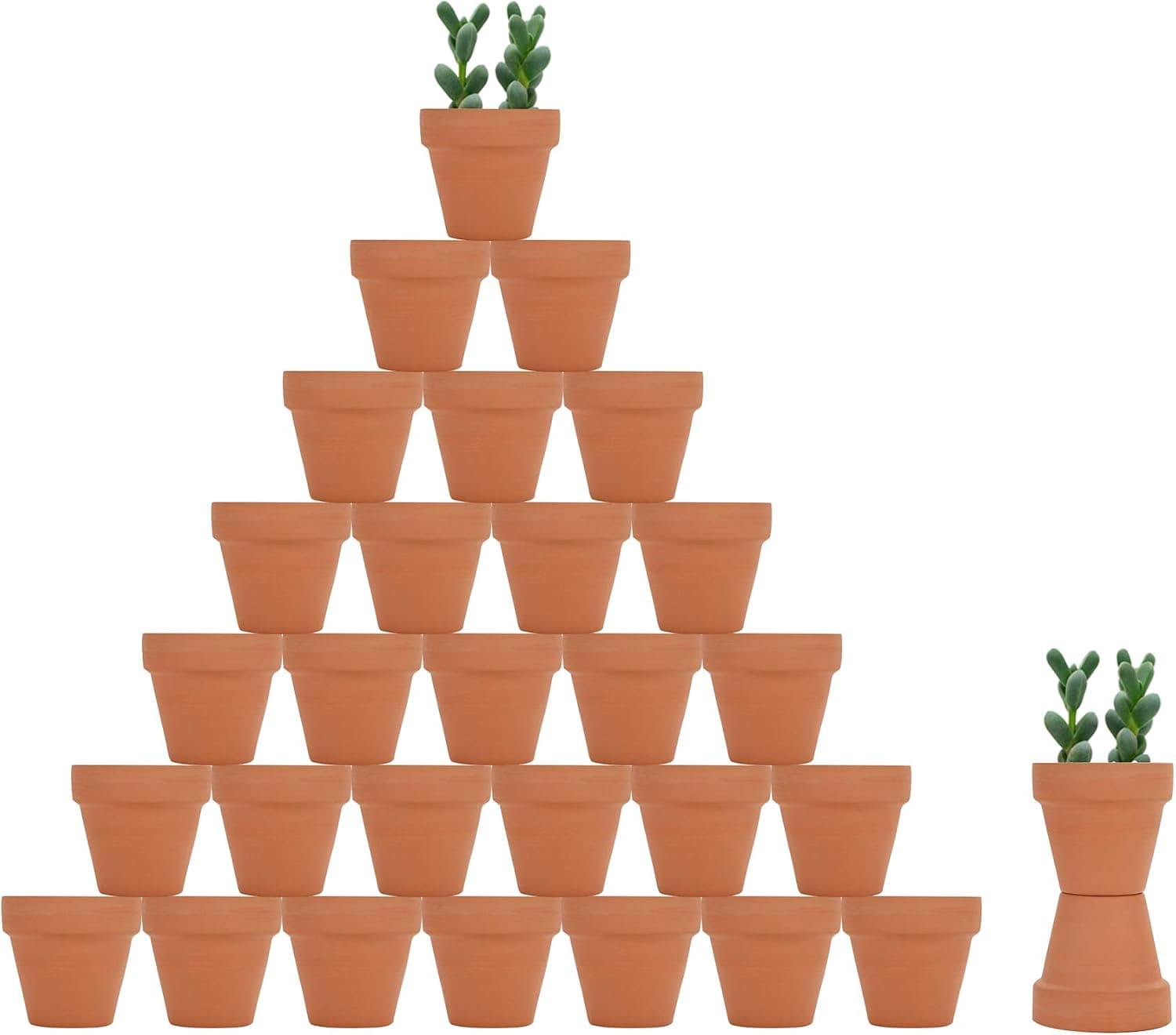 32pcs Small Mini 2" Terracotta Clay Pots with Drainage