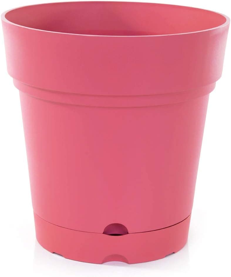 Mintra Plastic Pots for Plants with Saucers & Drainage Holes 6pk