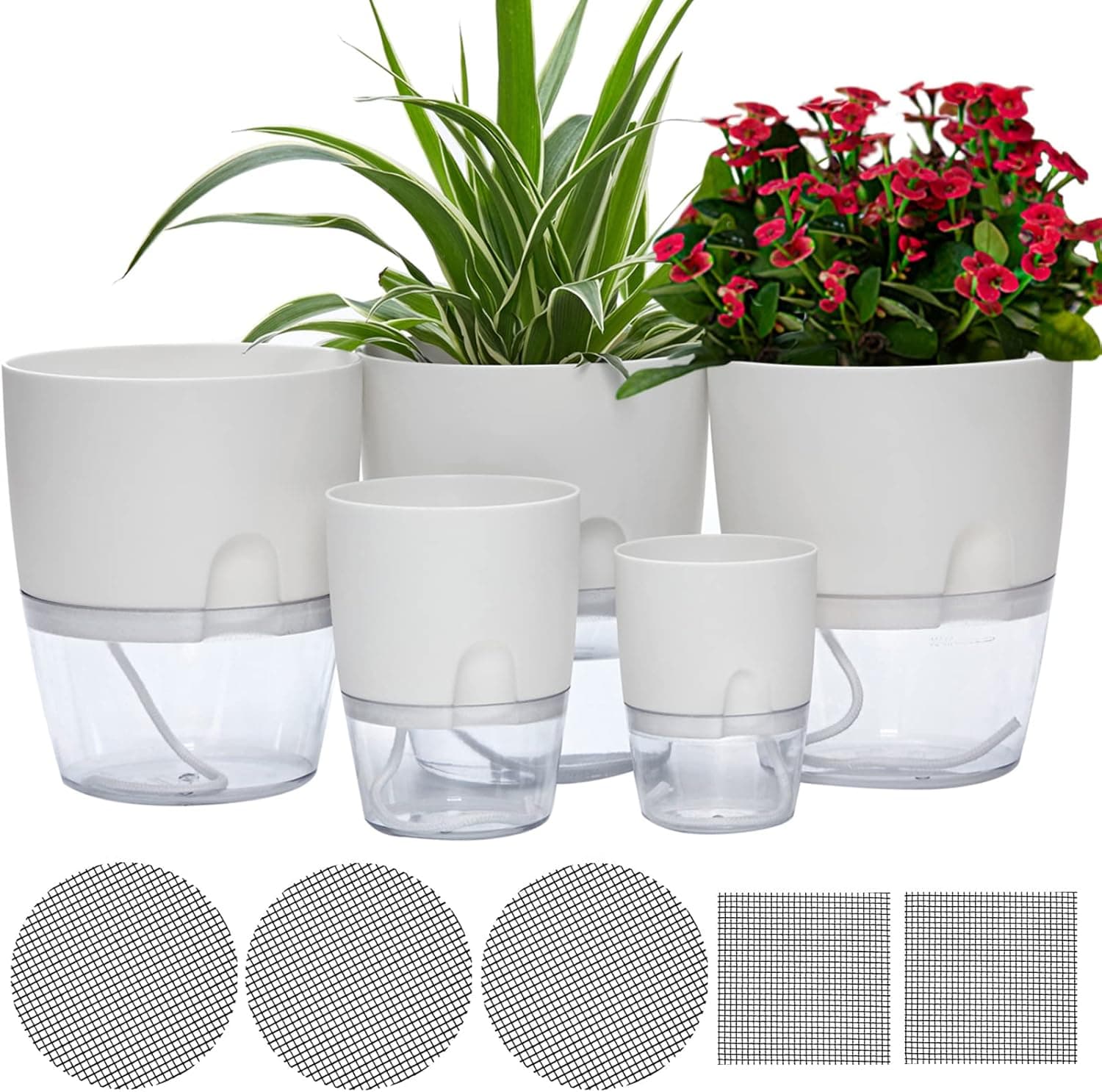 Best Self-Watering Planters