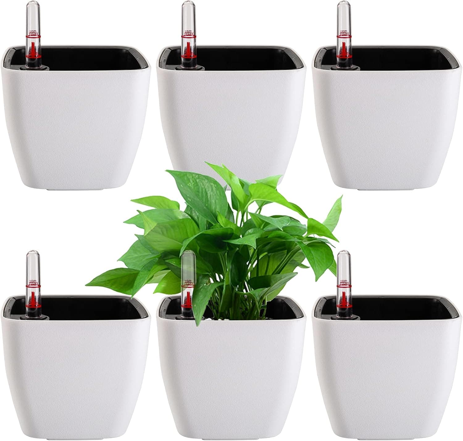 yarlung 6 Pack Self Watering Planter with Water Level Indicator, 5 Inch Plastic Flower Pots
