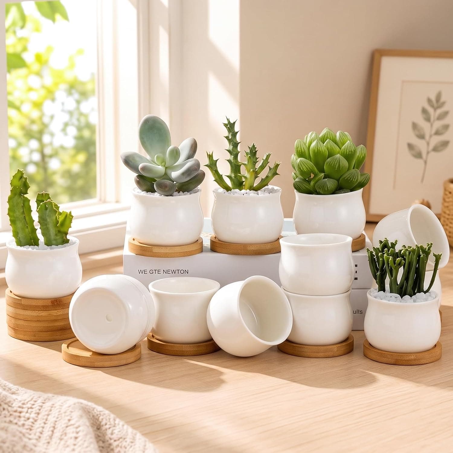ZOUTOG 12 Pack Succulent Pots, 2.6 Inch Mini Ceramic Pots with Drainage Hole