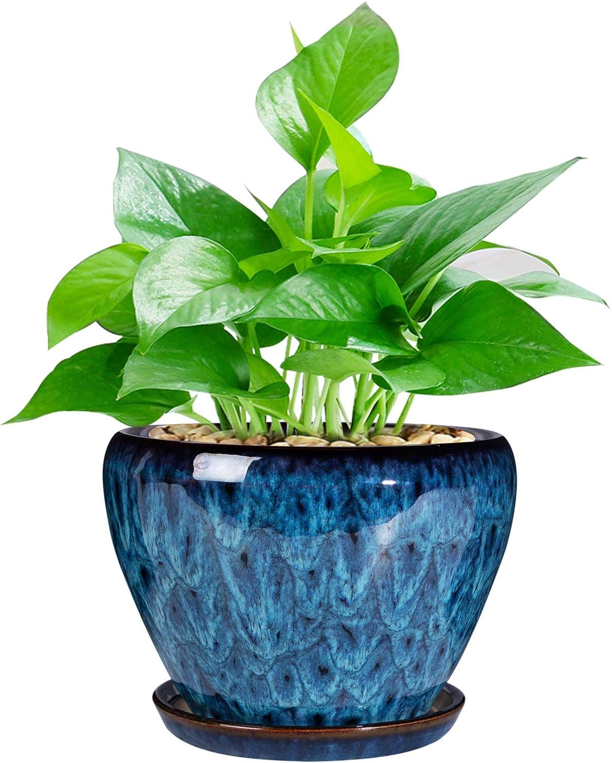 Ceramic Modern Glaze Succulent Planter 6 Inch with Drainage and Saucer