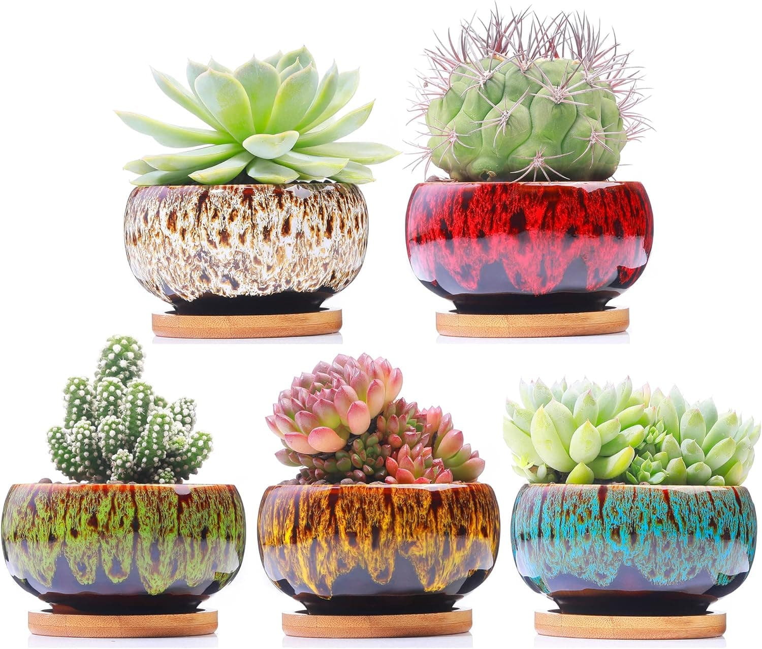 LamDawn Cute Ceramic Succulent Garden Pots, Planter with Drainage and Attached Saucer, Set of 5 (Round)