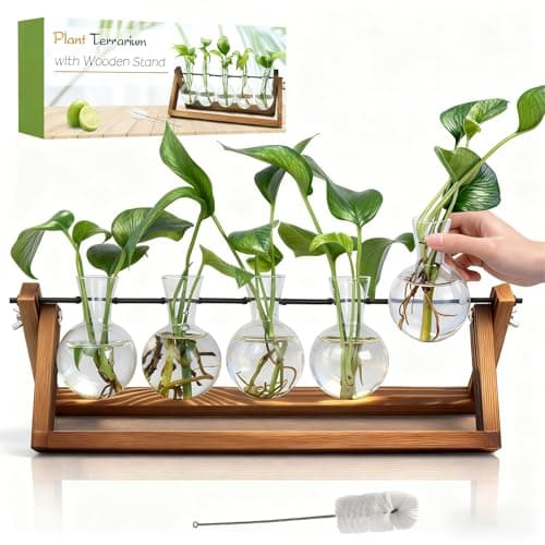 Renmxj Plant Propagation Stations with Wooden Stand & 5 Glass Bulb Vases | Plant Terrarium for Indoor Plants, Home Office Desk Decor, Gardening Gifts for Women Mom, Birthday Gifts for Plants Lovers