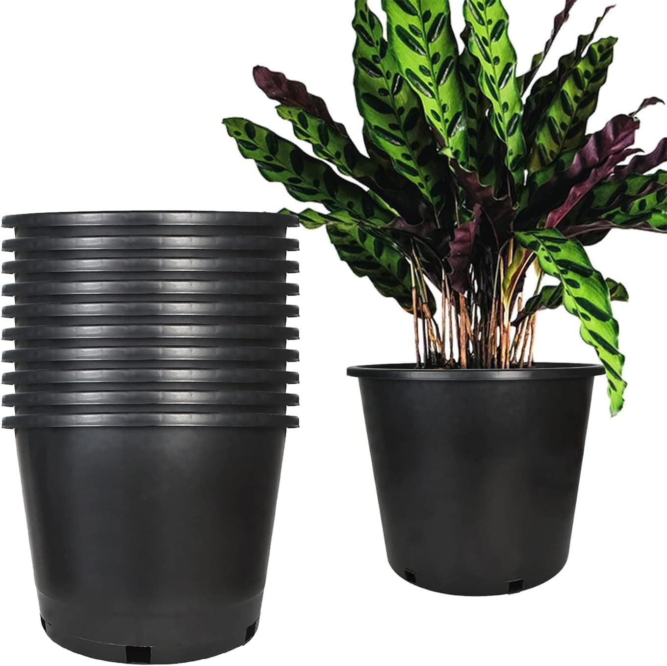 Nursery Pots Plastic Planter 10-Pack 10 Gallon with Drainage Holes
