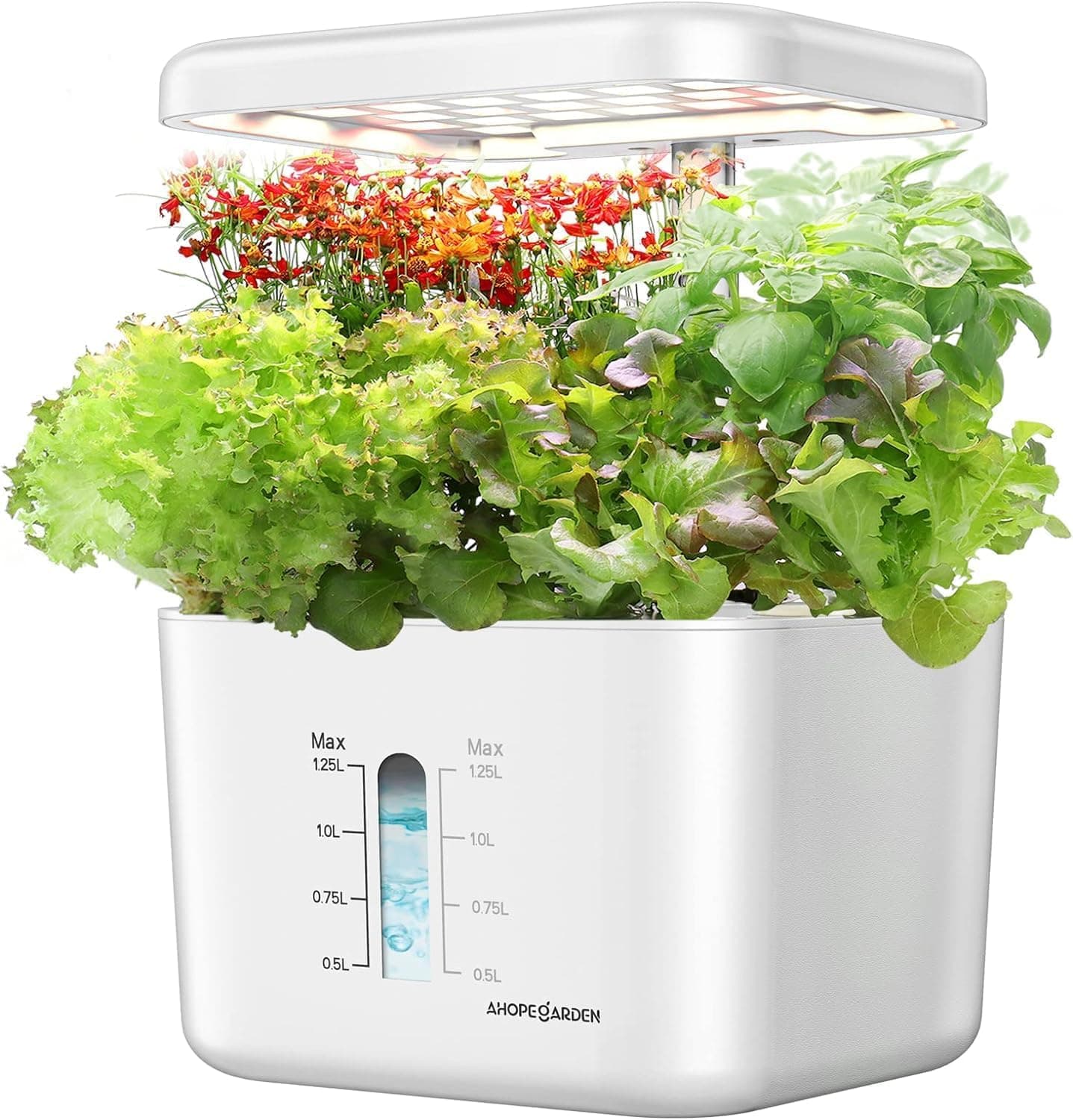 Indoor Garden Hydroponic Growing System, Plant Germination Kit Aeroponic Countertop with Grow Light