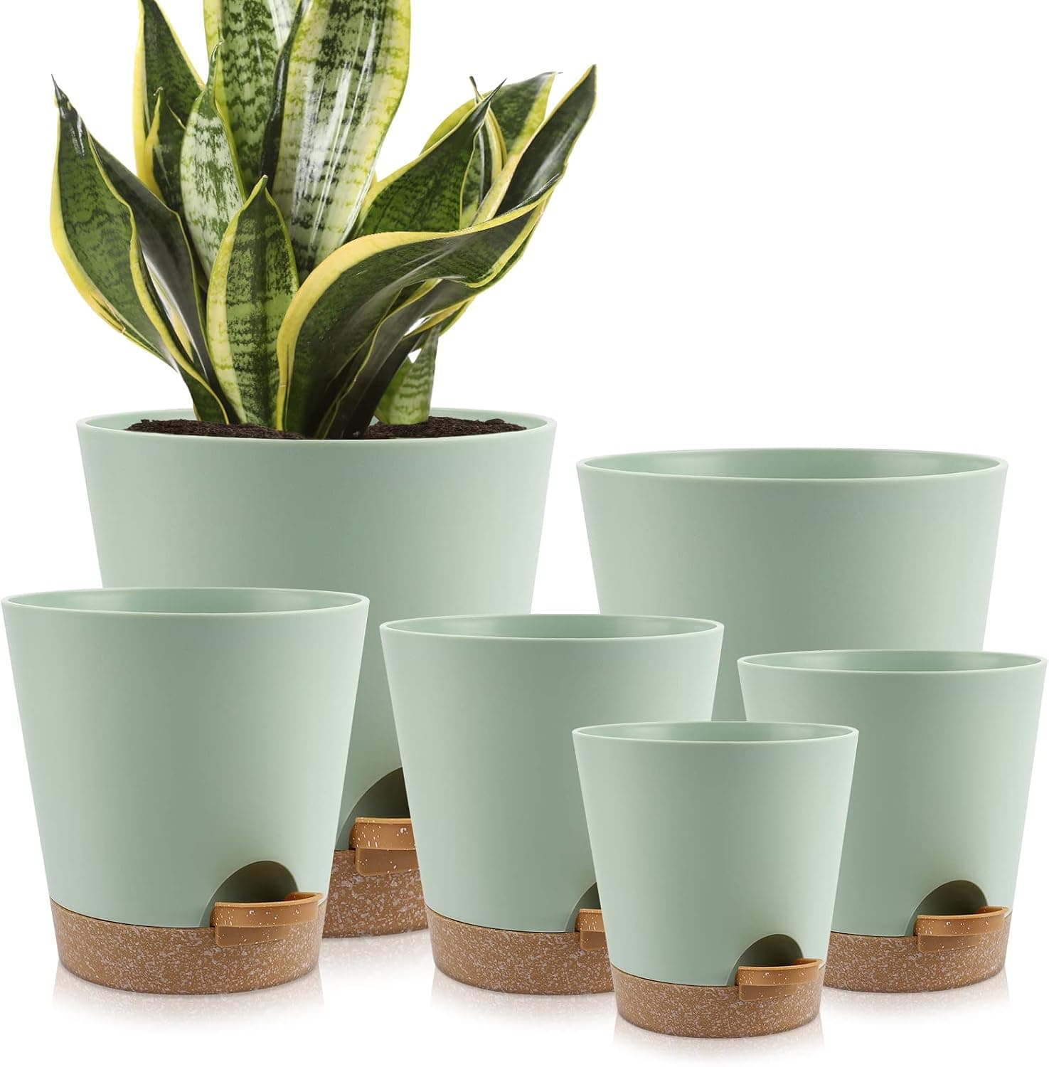 YNNICO Indoor Self Watering Planters with Drainage Holes and Saucers, 8/7/6.5/6/5.5/5 Inches, Green, 6 Pots