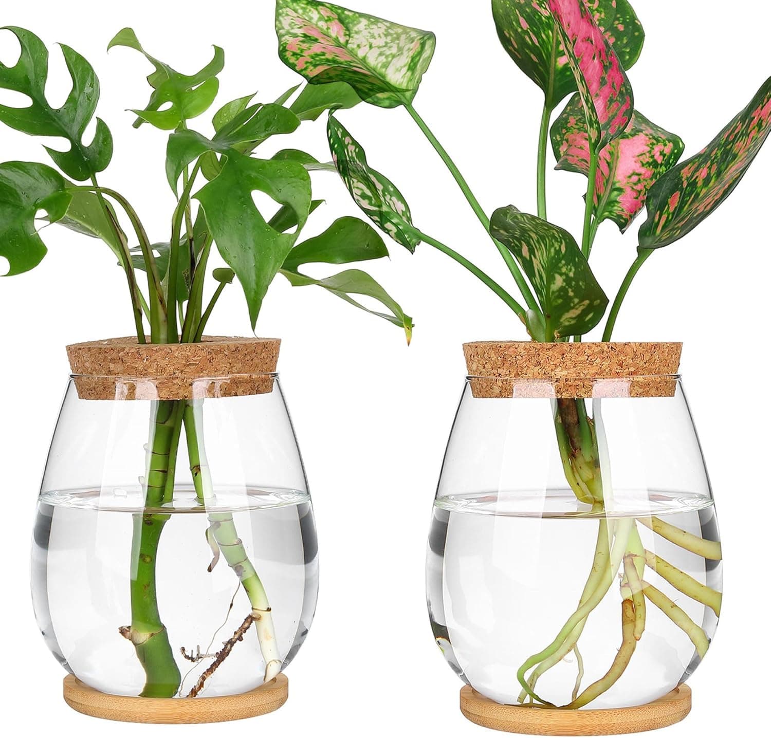 onepeng 2 Pcs Propagation Vases, Tabletop Plant Terrarium for Propagating Hydroponic