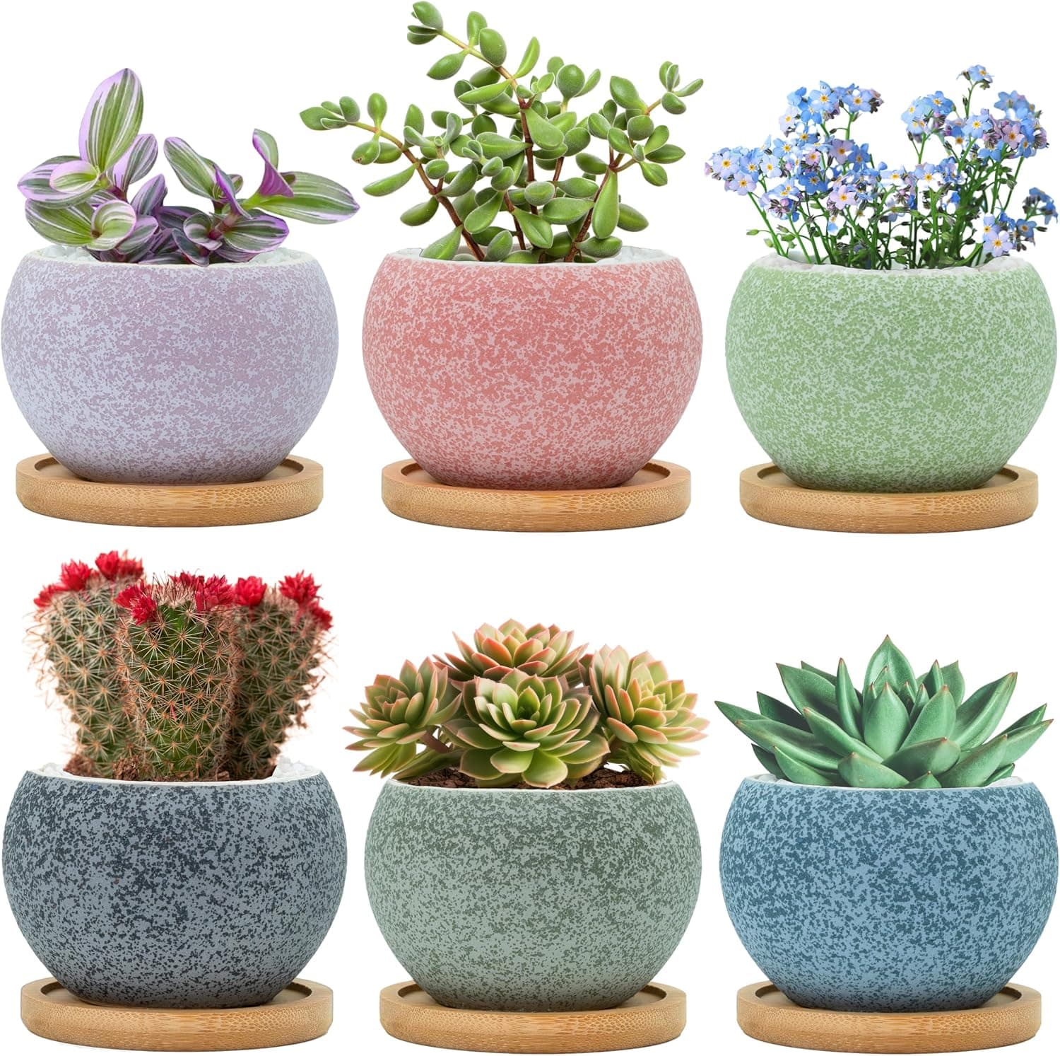 Thriving Thicket 3 inch Ceramic Pots for Plants, Small Succulent Pots Set with Drainage, 6 Pack