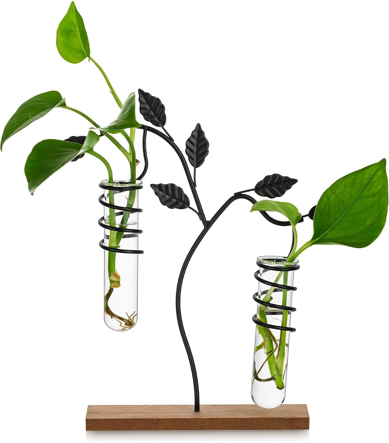 Glasseam Plant Propagation Station Tubes, Glass Terrarium Jar Test Tube Hydroponic Bud Vase