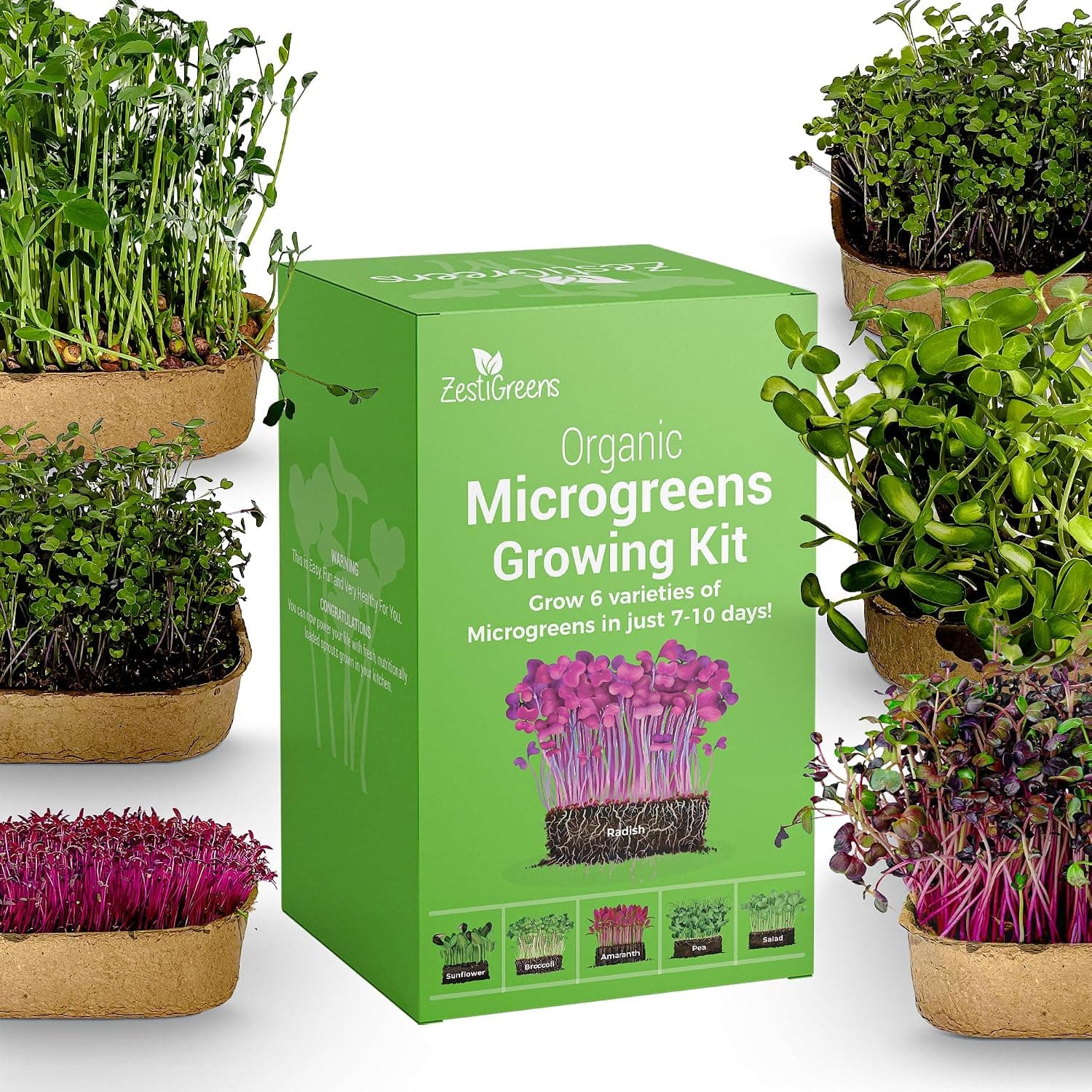 ZESTIGREENS Microgreens Growing Kit, 6-Grow Variety Pack with Popular Microgreens Varieties