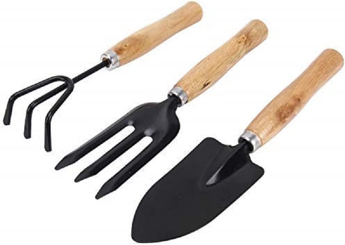 Gardening Tools Kit: Hand Cultivator, Small Trowel, Garden Fork (Set of 3)