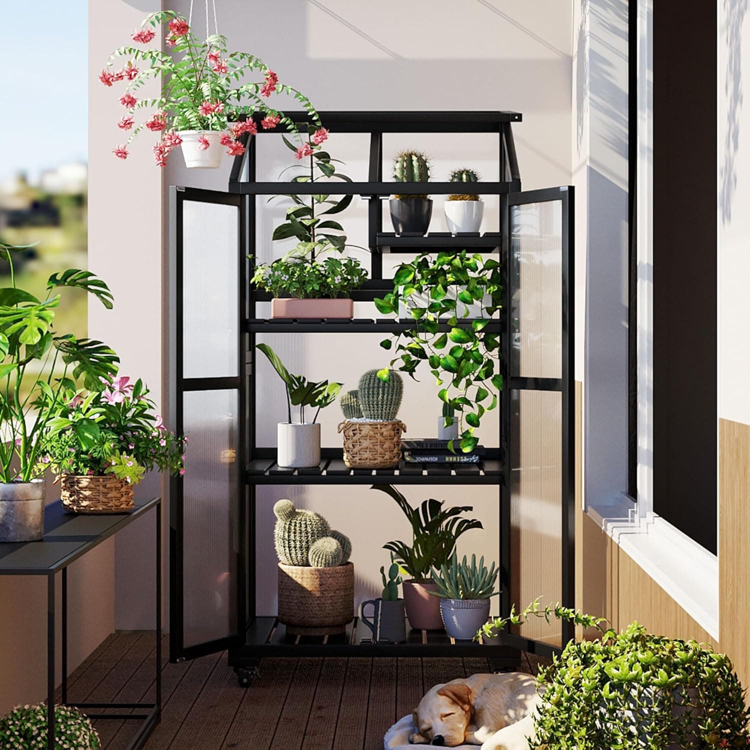 62-inch Wood Large Greenhouse Balcony Portable Cold Frame with Wheels and Adjustable Shelves (Black)
