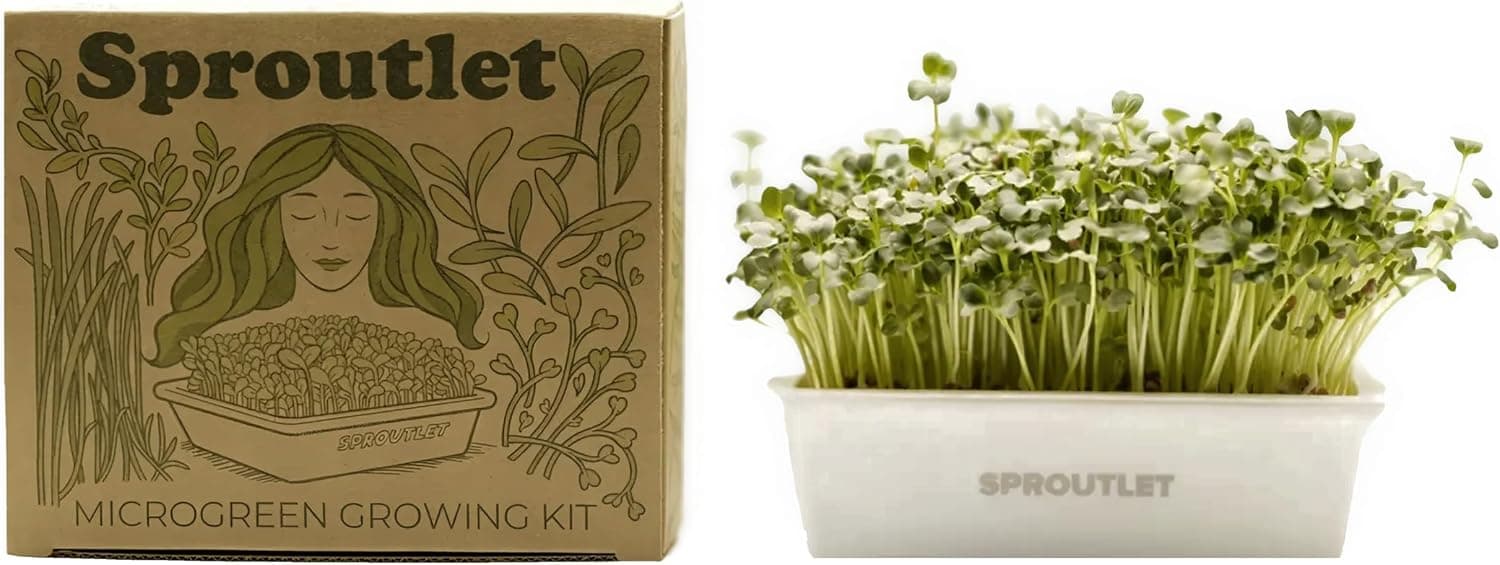 Modern Grower Sproutlet Self-Watering Microgreens Growing Kit, Reusable Trays (Pearl, 3-Pack)