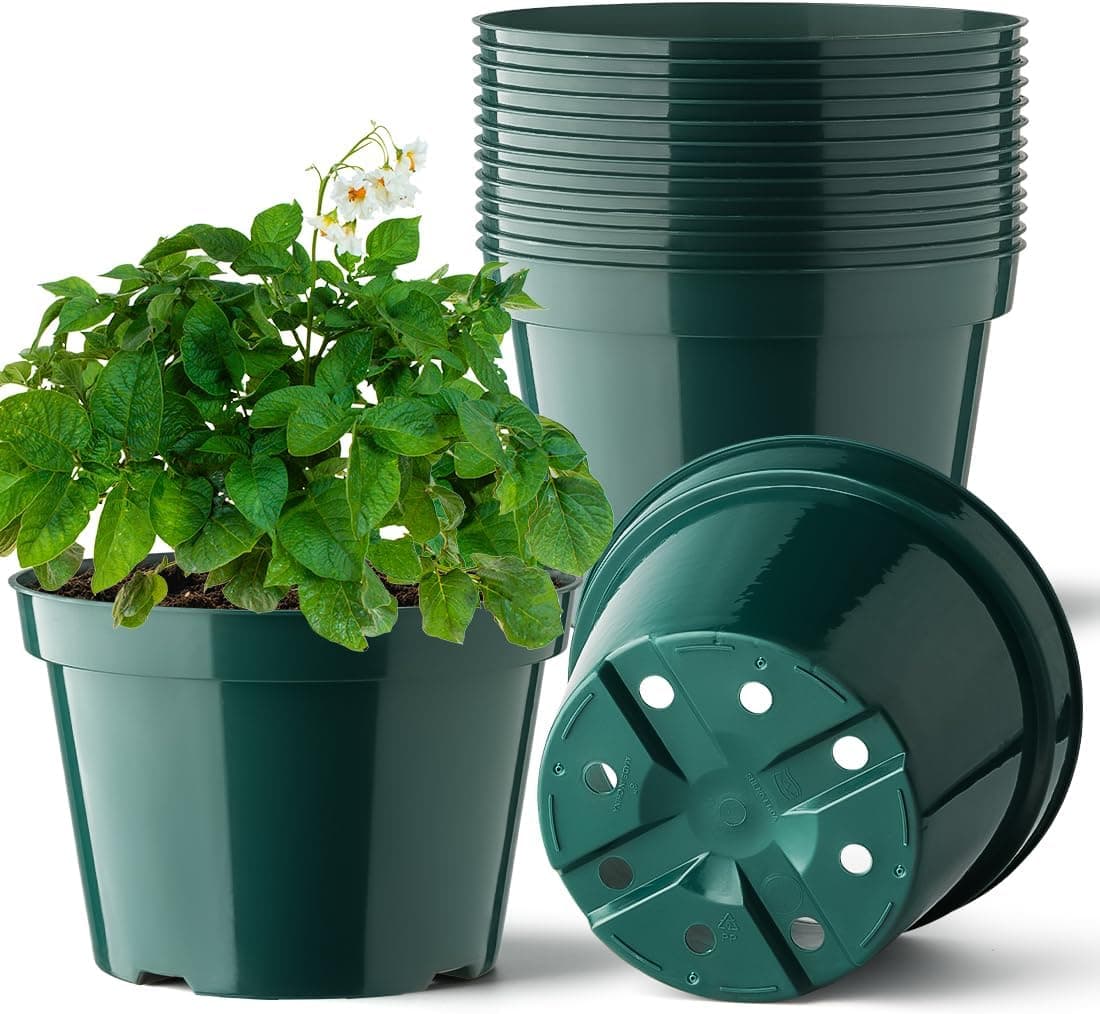 BTPLASTIK 8 Inch Plastic Plant Pots 15 Pack Sturdy Nursery Pots