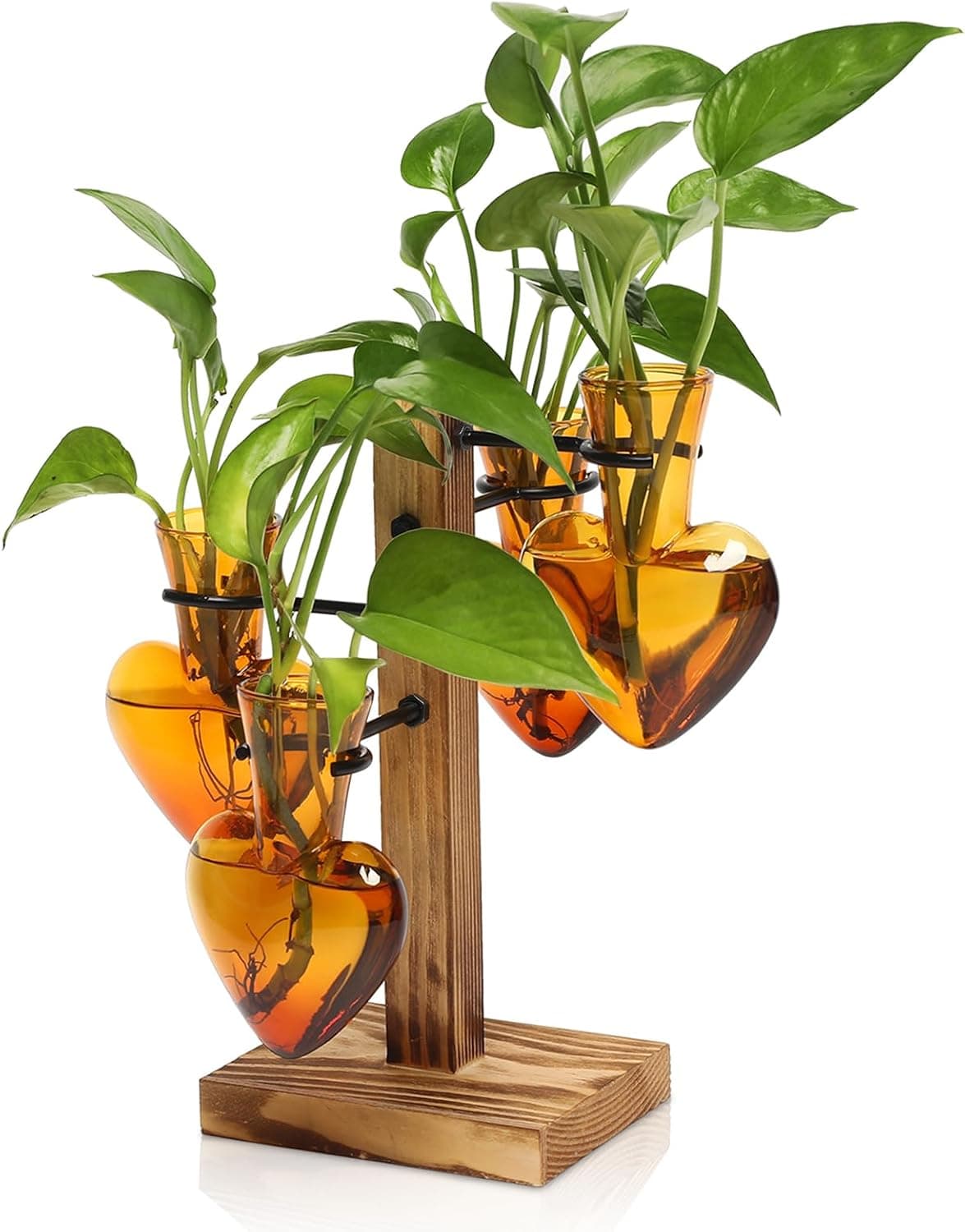 Plants Propagation Stations Plant Terrarium Kit Glass Planters, 4 Love Bulb Vase