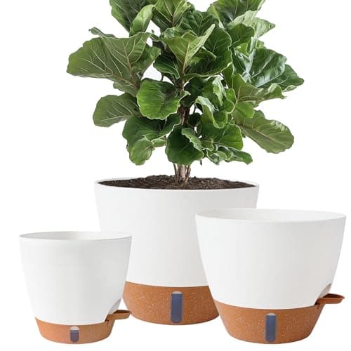 Fielda 8/10/12 Inch Self Watering Pots for Indoor/Outdoor Plants | Large Plastic Planter with Drainage Holes, Water Level Indicator & Deep Reservoir, Modern Decorative Flower Pots, White
