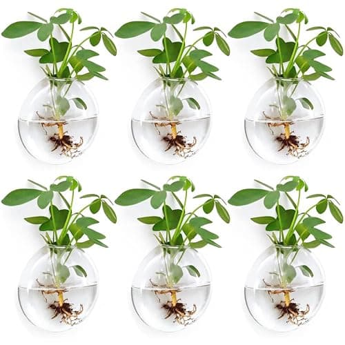 Wall Propagation Planter 6 Pack Glass Wall Planter Oblate Hanging Terrarium | Glass Wall Vase, Indoor Hydroponic Decor, Plant Propagation Wall Hanging for Home Decor, Gift Choice