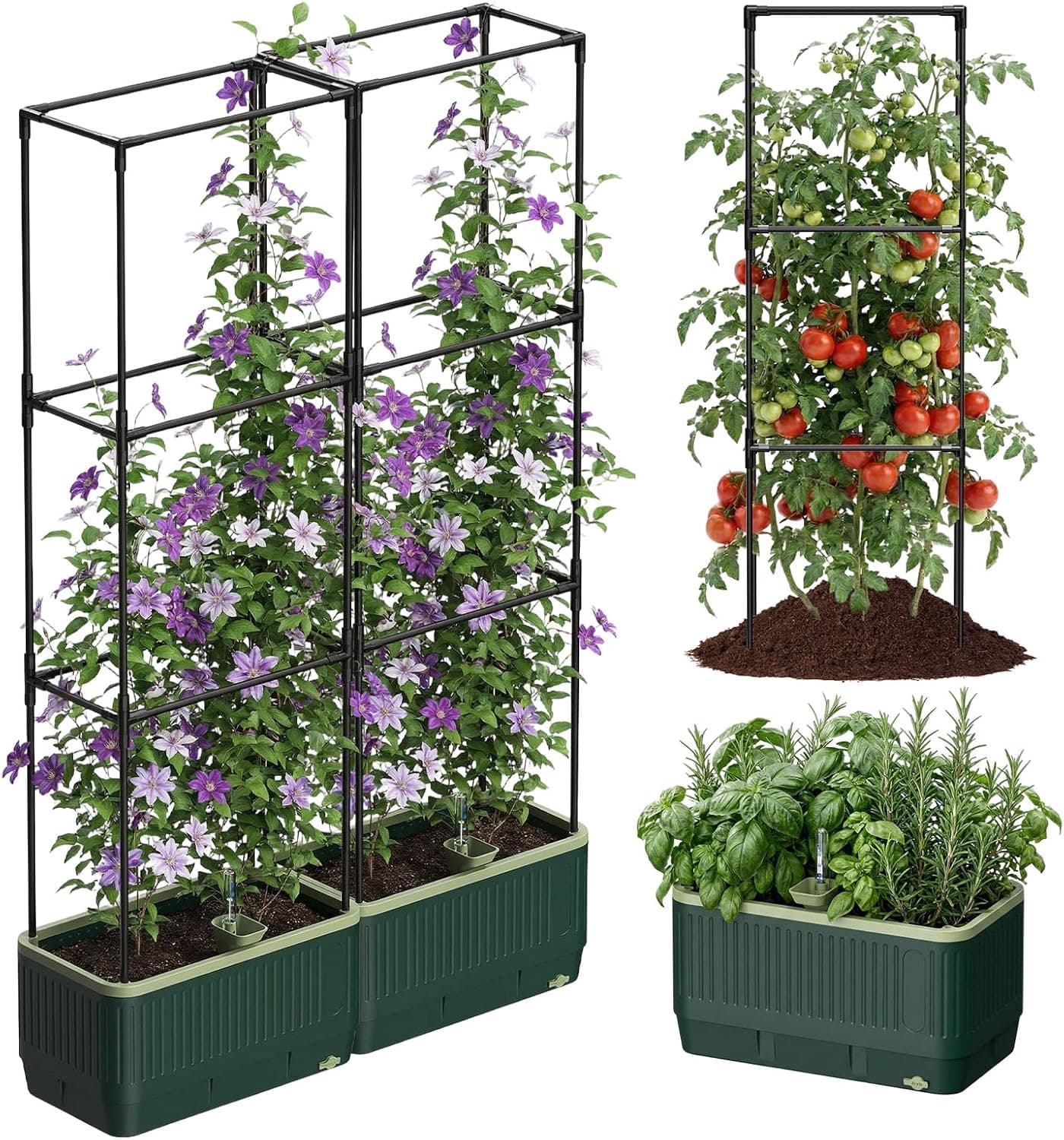 2 Pack Raised Garden Bed Tomato Planter Box with Trellis, Self-Watering