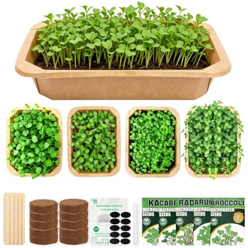 Microgreens Growing Kit Indoor Garden - Complete Micro Greens Growing Kits with 5 Seed Packs - Grow Broccoli, Arugula, Kale, Cabbage, Radish with Waterproof Trays - Grow Microgreens Indoor for Health