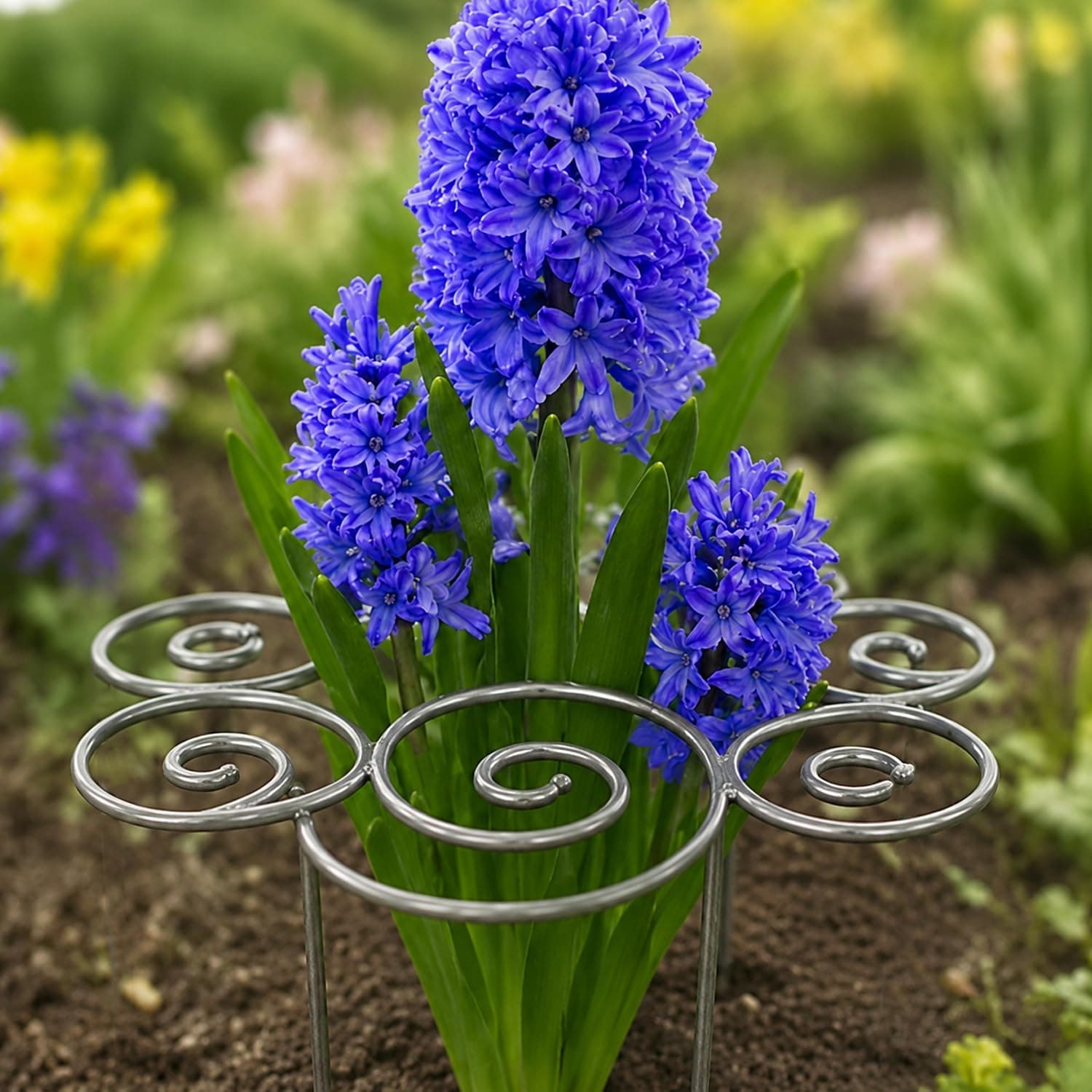 Metal Plant Support Ring Heavy Duty Rustproof Grow Through Cage
