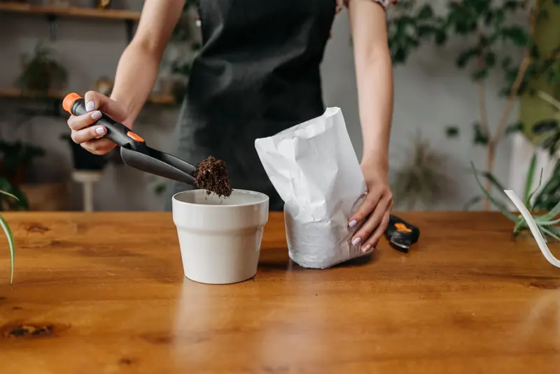 Person potting a plant with tools on a wooden table indoors
