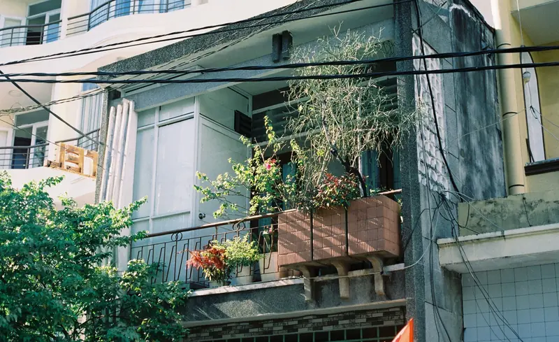 A city balcony adorned with lush potted plants and tangled wires