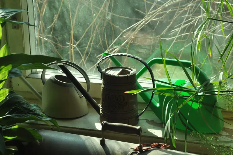 Sunlit indoor plants with watering cans on a windowsill, creating a tranquil and green ambiance