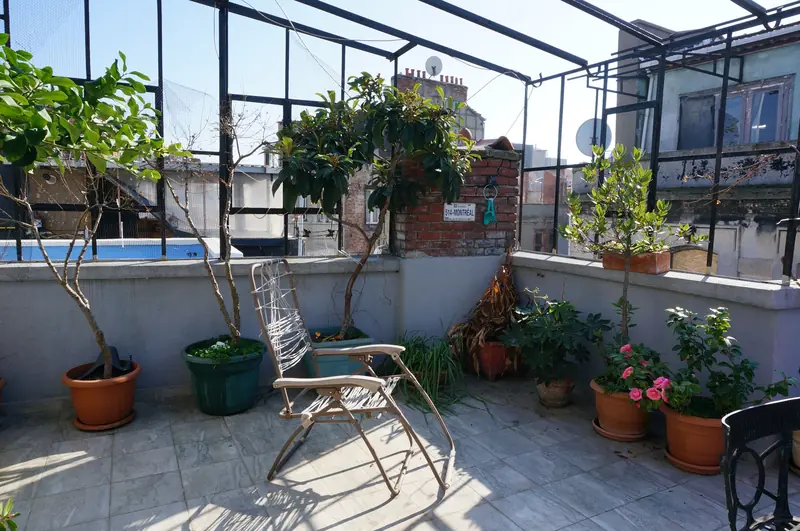 Rooftop terrace featuring potted plants, a chair, and a view of urban architecture