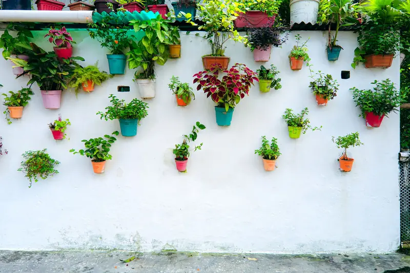 Vibrant arrangement of potted plants on a white wall, creating a vertical garden